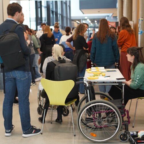 Copyright:&nbsp;Diana Lettner, Dilara G&uuml;nd&uuml;z | FH St. P&ouml;lten